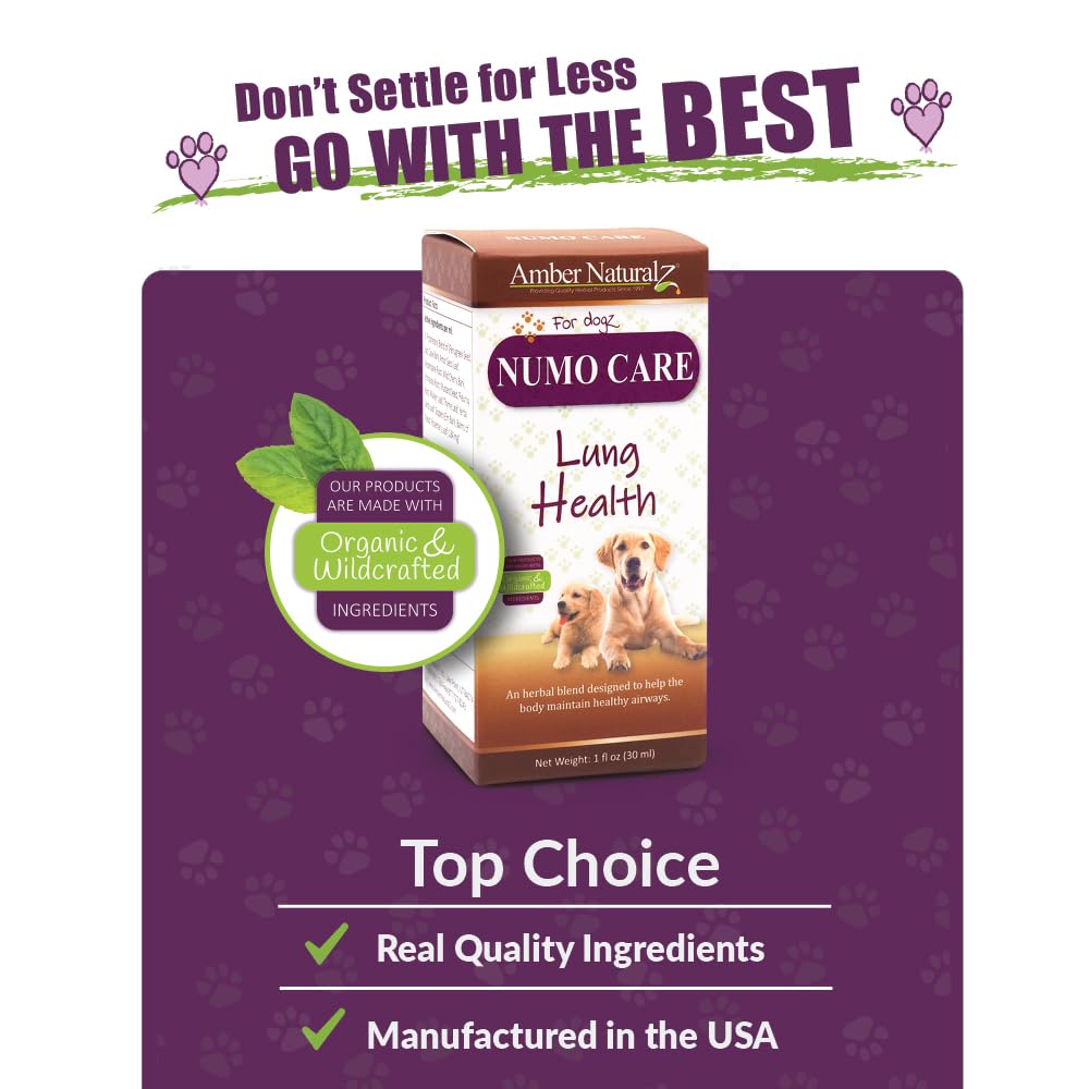 Amber NaturalZ Numo Care Lung Health Herbal Supplement for Dogs | Canine Herbal Supplement for Bronchial Support and Respiratory Lung Health | 1 Fluid Ounce Glass Bottle | Manufactured in The USA