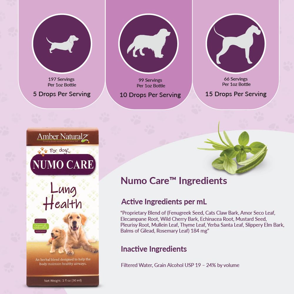 Amber NaturalZ Numo Care Lung Health Herbal Supplement for Dogs | Canine Herbal Supplement for Bronchial Support and Respiratory Lung Health | 1 Fluid Ounce Glass Bottle | Manufactured in The USA