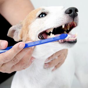 Dog Toothbrush Set