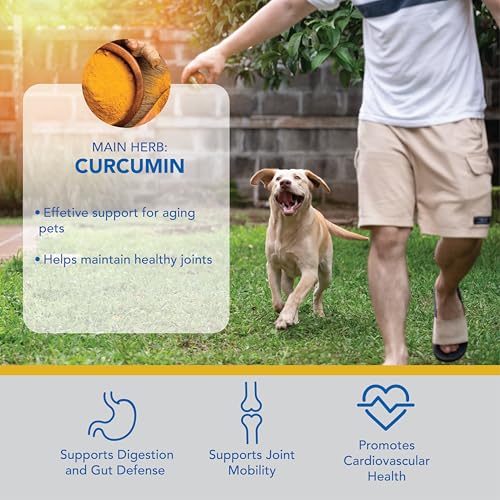 Ayush Pet Mobility, Curcumin Supplement for Healthy Joints, Pure and Powerful Joint, Digestion, and Brain Support, Large or Small Pets, 90 Capsules