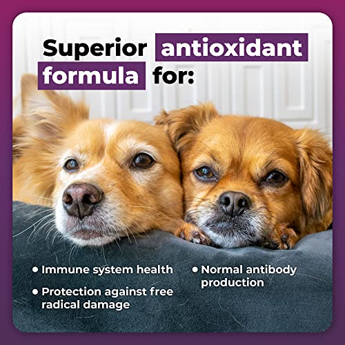 VetriScience Immune Plus Immunity Support for Small Dogs, 60 Capsules – Immune and Allergy Support Supplement for Dogs Under 30 Pounds - Formerly Cell Advance 440