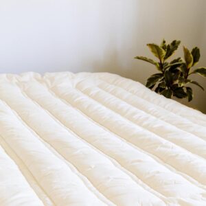 Sleep & Beyond 60 by 80-Inch Organic Merino Wool Mattress Topper Queen, Ivory