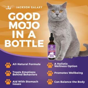 Jackson Galaxy: Happy Tummy (2 oz.) - Pet Solution -Help with Stress and Discharge Toxins - Can Aid With Stomach Issues (IBD, Constipation, etc.) - All-Natural Formula - Reiki Energy