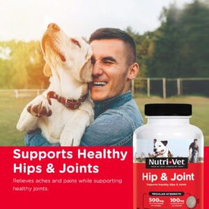 Nutri-Vet Hip & Joint Chewable Dog Supplements - Formulated with Glucosamine & Chondroitin for Dogs - 180 Count