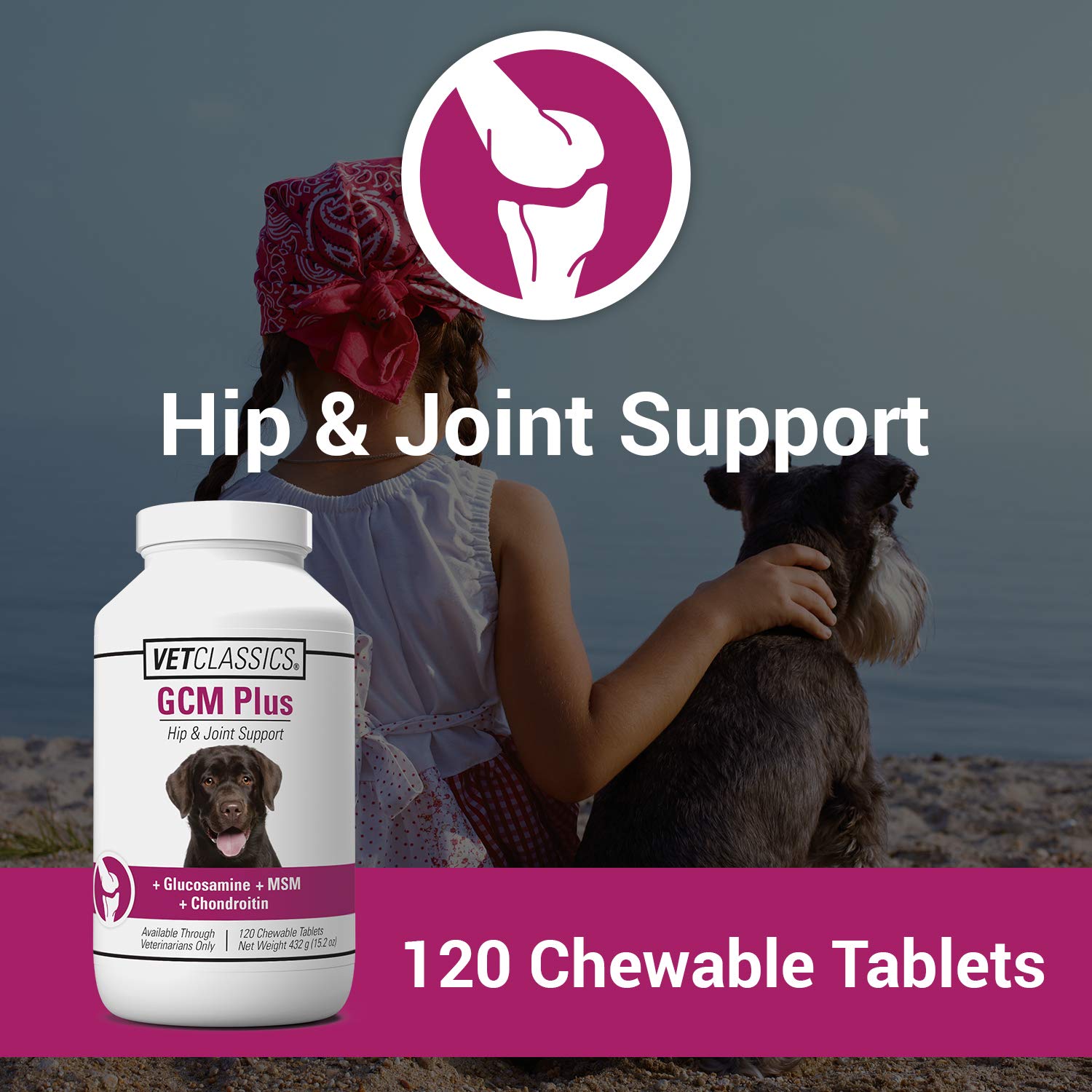 Vet Classics GCM Plus Hip & Joint Support Dog Supplement – Includes MSM, Chondroitin, Glucosamine – Supports Healthy Joints, Flexible Hips in Dogs – Chewable Tablets 120 Ct.