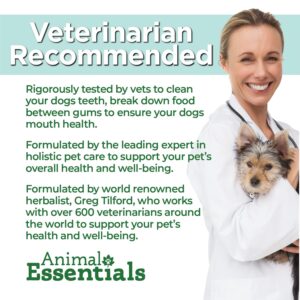 Animal Essentials Daily Digestion for Dogs & Cats - Digestive Support, Fresh Breath, Ginger Root, Fennel Seed Extract, Liquid Supplement - 1 Fl Oz