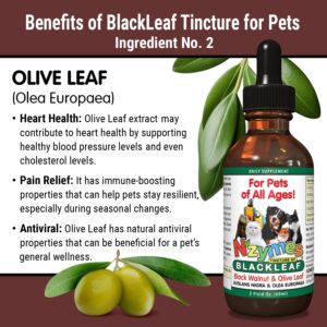 BlackLeaf Tincture for Pets