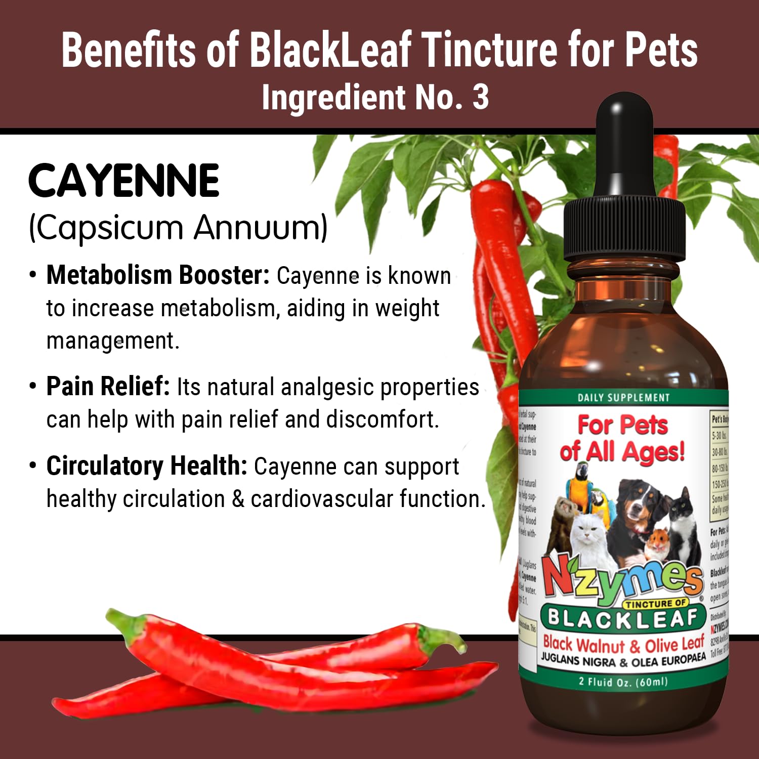 BlackLeaf Tincture for Pets