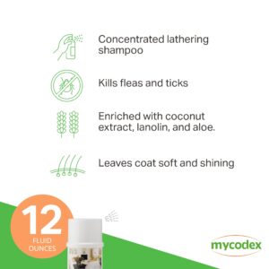 PRN Pharmacal Mycodex Flea and Tick Shampoo P3 - Sensitive Skin Shampoo for Dogs & Cats - with Oatmeal, Lanolin, & Aloe - Removes Dandruff, Dirt, & Scales While Killing Fleas, Ticks & Lice - 12 Fl Oz