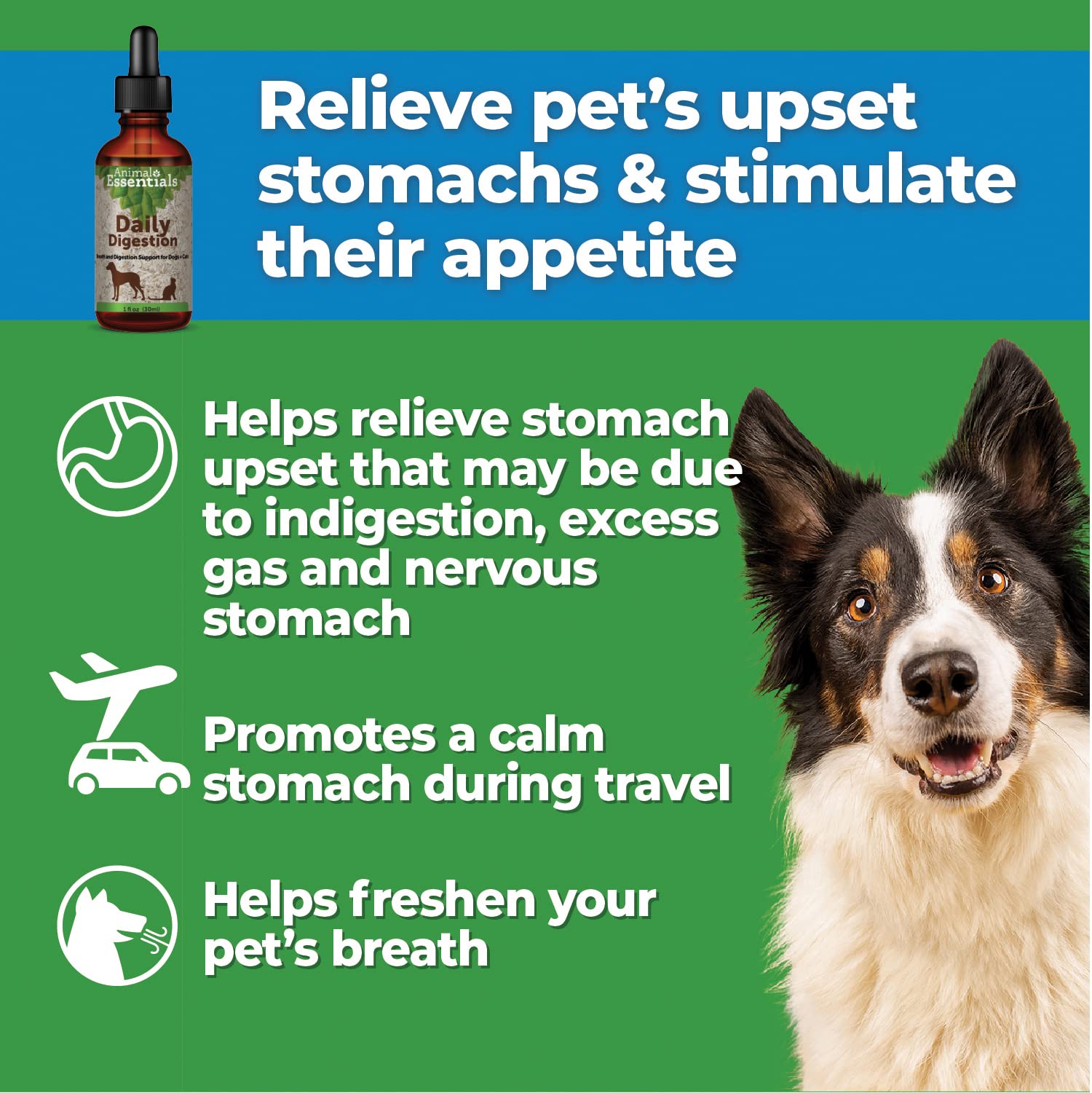 Animal Essentials Daily Digestion for Dogs & Cats - Digestive Support, Fresh Breath, Ginger Root, Fennel Seed Extract, Liquid Supplement - 1 Fl Oz