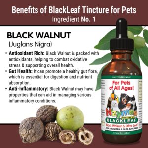 BlackLeaf Tincture for Pets