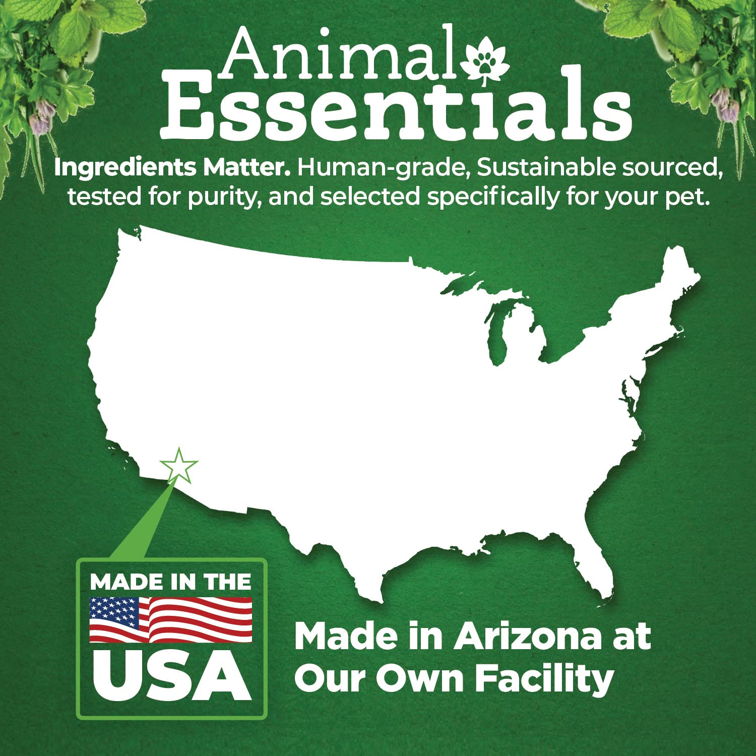 Animal Essentials Daily Digestion for Dogs & Cats - Digestive Support, Fresh Breath, Ginger Root, Fennel Seed Extract, Liquid Supplement - 1 Fl Oz