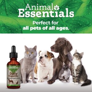 Animal Essentials Daily Digestion for Dogs & Cats - Digestive Support, Fresh Breath, Ginger Root, Fennel Seed Extract, Liquid Supplement - 1 Fl Oz