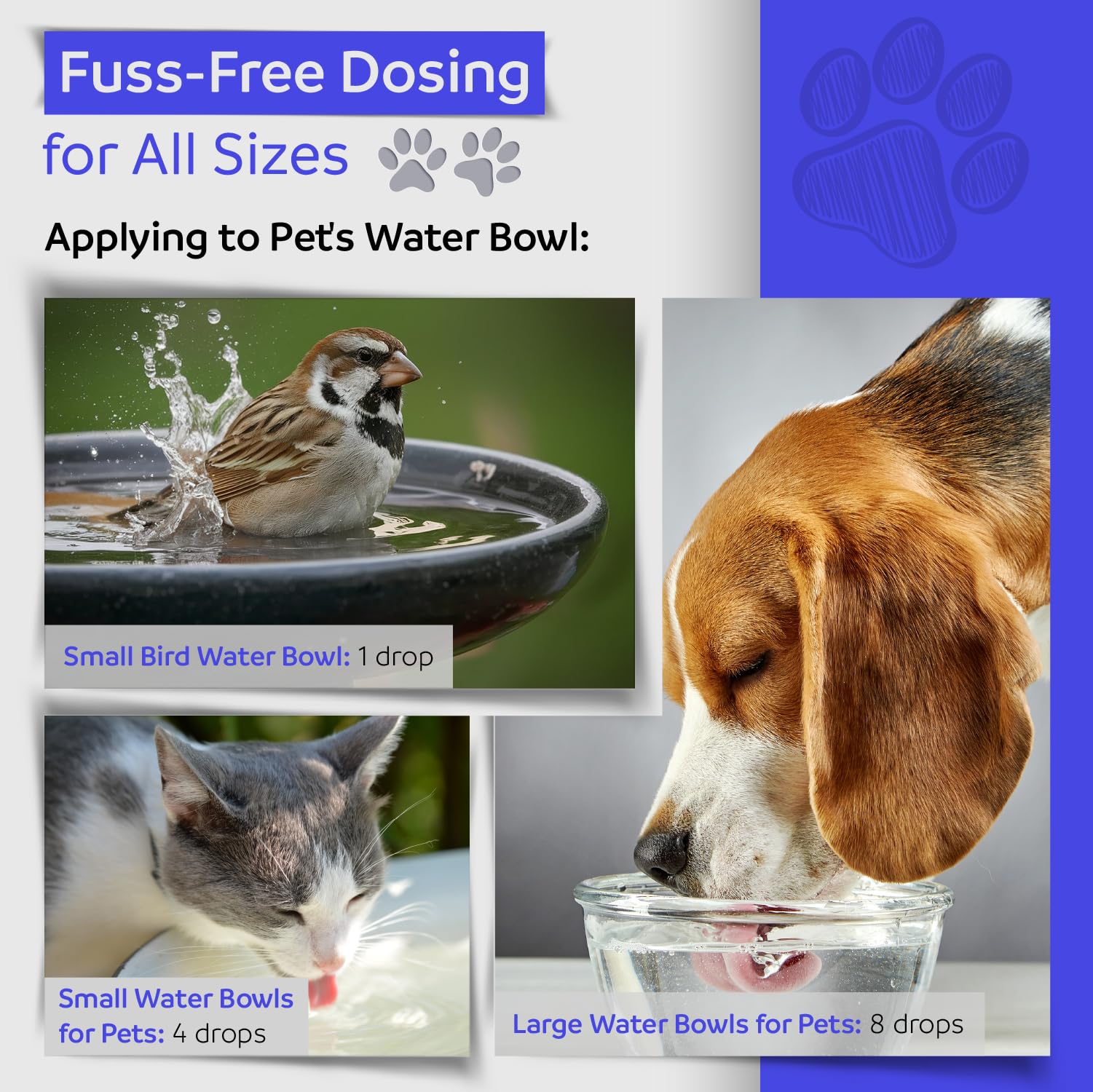 Pet Essences - Vomiting Formula for Dogs, Cats & Horses, 1oz - Natural Flower Essences for Chronic Cat Vomit Due to Fear and Trauma - Easy to Use and Safe for All Ages & Breeds