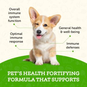 Animal Essentials Super Immune for Dogs & Cats - Immunity Support Supplement, Echinacea, Eleuthero, Olive Leaf Extract, Liquid Drops - 2 Fl Oz