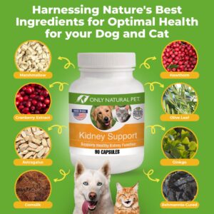 ONLY NATURAL PET Kidney Support Supplement | Supports Urinary Tract & Bladder Health w/Cranberry Extract | Incontinence Prevention (Capsules May be Opened and Contents Mixed w/Food) - 90 Capsules