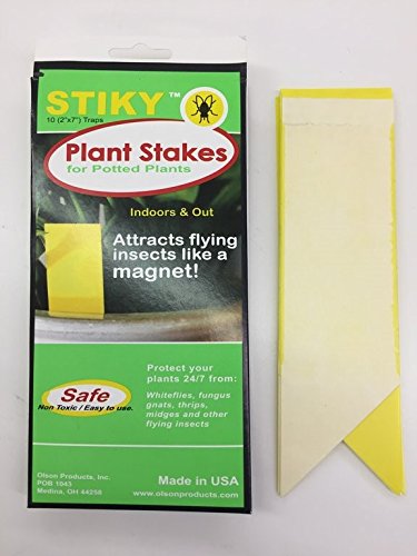 Stiky Strips Plant Stakes for Potted Plants (10 Pack)