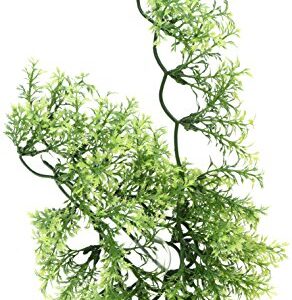 Zoo Med Laboratories SZMBU24 Natural Bushy Australian Maple, Medium