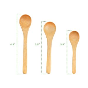 BambooMN Bamboo Serving Spoons, Mini Salt Sugar Spoon, Tiny Wooden Spoons for Spices, Carbonized Brown Round Head 4.3", 10 Pieces