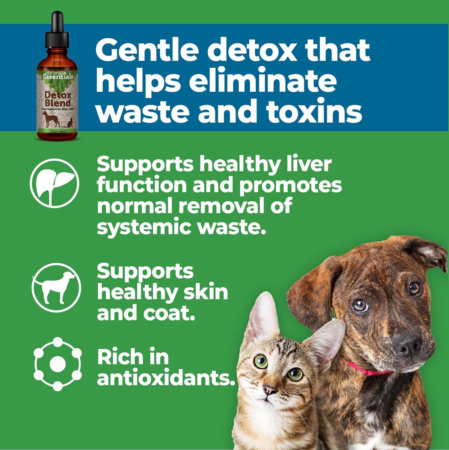 Animal Essentials Detox Blend - Liver Support for Dogs & Cats, Herbal Liver Supplement, Veterinarian Recommended Animal Wellness Tonics - 2 Fl Oz