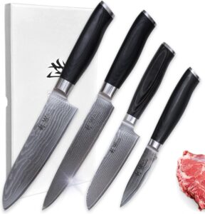 wakoli 4 piece professional damascus kitchen knife set, made of 67 layers of genuine damascus steel with vg10 core, chef's knives set with ergonomic micarta handles for precision and comfort (mik)