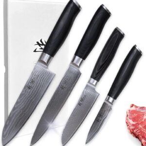 Wakoli 4 Piece Professional Damascus Kitchen Knife Set, Made of 67 Layers of Genuine Damascus Steel with VG10 Core, Chef's Knives Set with Ergonomic Micarta Handles for Precision and Comfort (MIK)