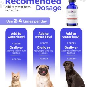 Pet Essences - Seizures Formula for Dogs, Cats, and Horses - 1oz, Safe & Natural Dog Calming Drops, Pet Seizure Support for All Species, Breeds & Ages - Featuring Organic Crowea, Impatiens & Saguaro