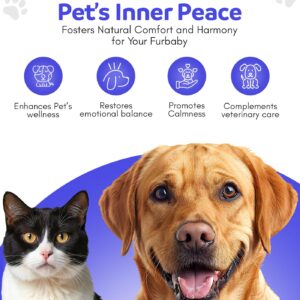 Pet Essences - Seizures Formula for Dogs, Cats, and Horses - 1oz, Safe & Natural Dog Calming Drops, Pet Seizure Support for All Species, Breeds & Ages - Featuring Organic Crowea, Impatiens & Saguaro