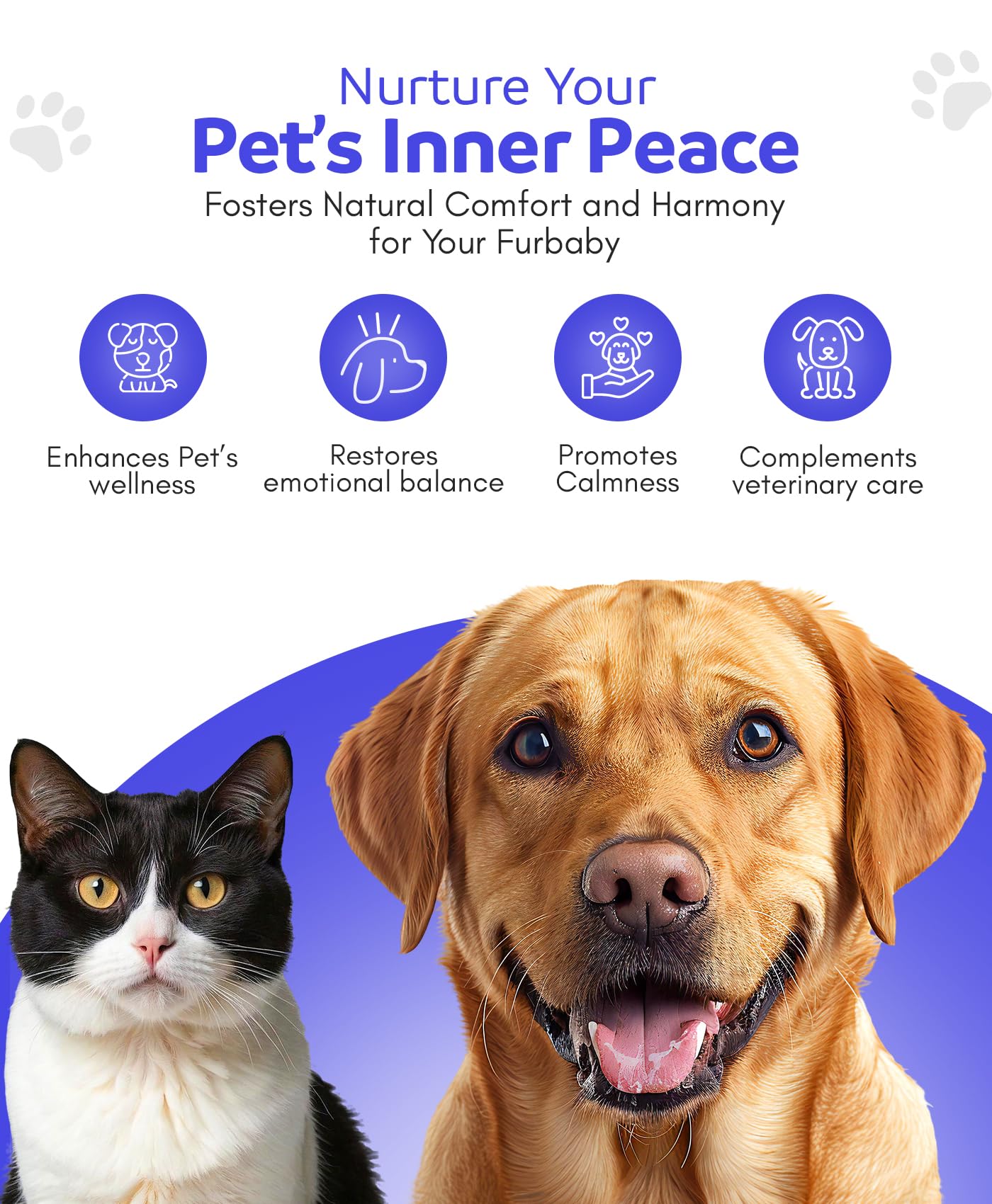 Pet Essences - Seizures Formula for Dogs, Cats, and Horses - 1oz, Safe & Natural Dog Calming Drops, Pet Seizure Support for All Species, Breeds & Ages - Featuring Organic Crowea, Impatiens & Saguaro