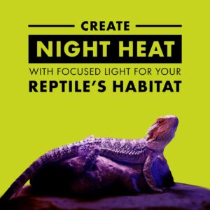 Zilla Incandescent Spot Bulb, for Nocturnal Reptile Species, Night Black