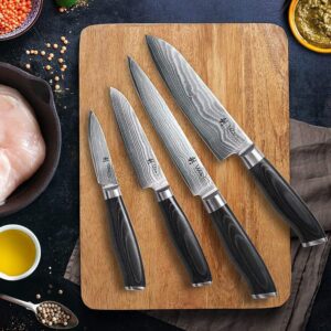 Wakoli 4 Piece Professional Damascus Kitchen Knife Set, Made of 67 Layers of Genuine Damascus Steel with VG10 Core, Chef's Knives Set with Ergonomic Micarta Handles for Precision and Comfort (MIK)