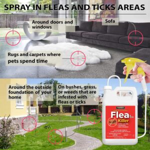 Harris Flea and Tick Killer, Liquid Spray with Odorless and Non-Staining Extended Residual Kill Formula (Gallon)