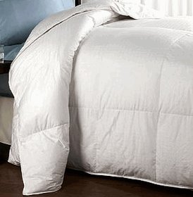 sheetsnthings 13-PC King Size Janet Bed in a Bag Including Duvet Cover Set+ Bed Skirt+Down Alterntaive Comforter+Sheet Set 100% Cotton