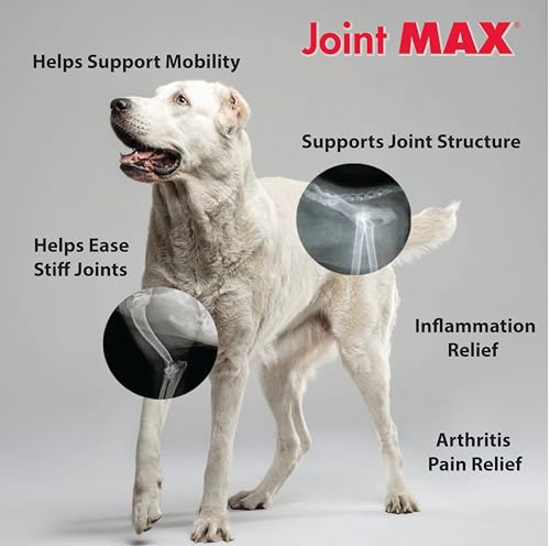 Joint Max TS Joint Supplement Vet Formulated Pain & Inflammation Relief Treats Hip Dysplasia & Arthritis, Glucosamine, Chondroitin, Turmeric, MSM, HA, Creatine, Omega 3 EPA + DHA.120 Soft Chews