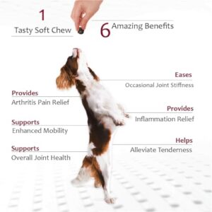 Joint Max TS Joint Supplement Vet Formulated Pain & Inflammation Relief Treats Hip Dysplasia & Arthritis, Glucosamine, Chondroitin, Turmeric, MSM, HA, Creatine, Omega 3 EPA + DHA.120 Soft Chews