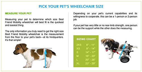 Best Friend Mobility Dog Wheelchair - Medium