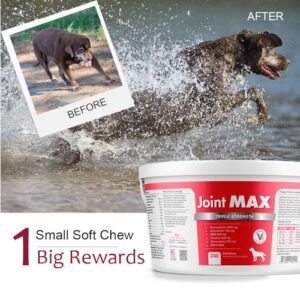 Joint MAX TS Joint Supplement Vet Formulated Pain & Inflammation Relief Treats Hip Dysplasia & Arthritis.Glucosamine, Chondroitin, Turmeric, MSM, HA, Creatine, Omega 3 EPA+DHA. All Dogs 240 Soft Chews