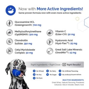 TopDog Health GlycanAid HA Advanced Joint Nutrition for Dogs (150 Chewable Tablets) Made in USA with USA Ingredients: Glucosamine HCL, Chondroitin, Hyaluronic Acid, MSM