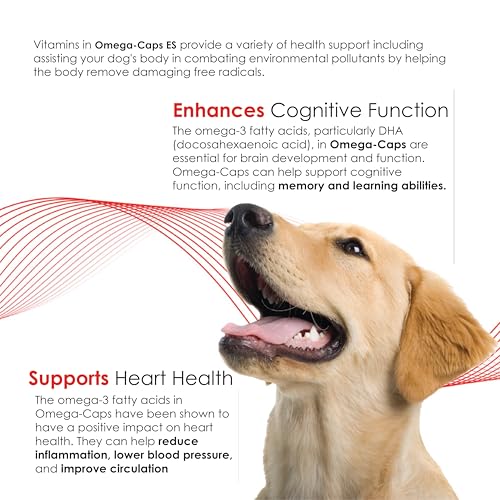 Omega-Caps Extra Strength for Large Breeds-Vet Formulated for Healthy Radiant Skin & Coat While Reducing Excess Shedding. Contains Omega 3 for Immune System Support, Easy to Dose, 60 Soft Gel Capsules