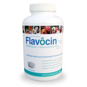 flavocin glucosamine chondroitin for dogs