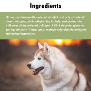 HealthyPets EfaLyt Creme Rinse Remedy for Pets - Hypoallergenic Formula - Natural Moisturizing Promote Hydration - Essential Fatty Acids - 12 fl oz