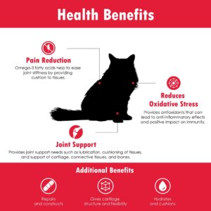 Joint MAX Liquid for Cats - Vitamins, Minerals, Antioxidants - Glucosamine, Chondroitin - Supports Joints and Cartilage Health, Chicken Flavor - Veterinarian Formulated - 8 fl oz