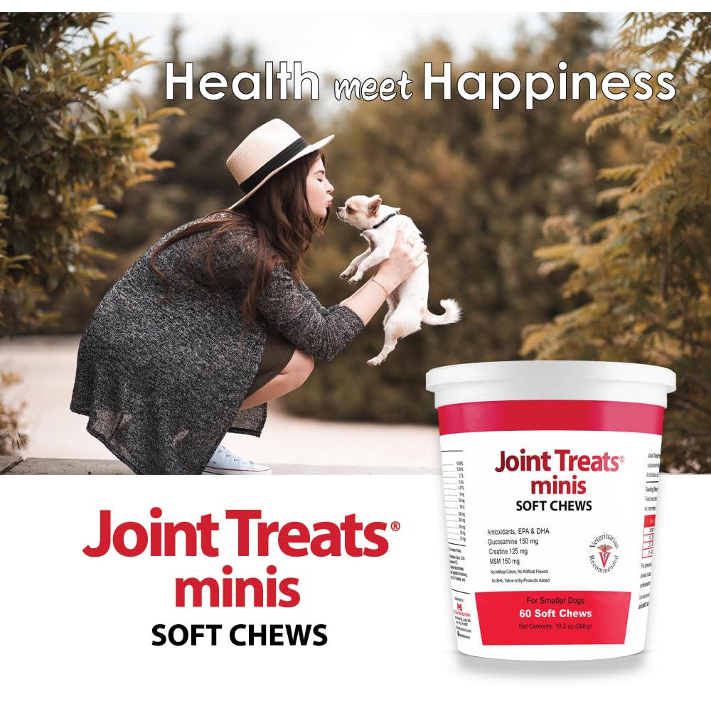 Joint Treats MINIS for Smaller Dogs - Vitamins, Minerals, Antioxidants, Omega-3 Fatty Acids EPA, DHA - Maximum Joint Health Supplement for Dogs - 120 Soft Chews