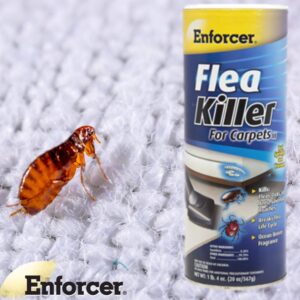 Enforcer 20-Ounce Flea Killer for Carpet, Ocean Breeze Fragrance