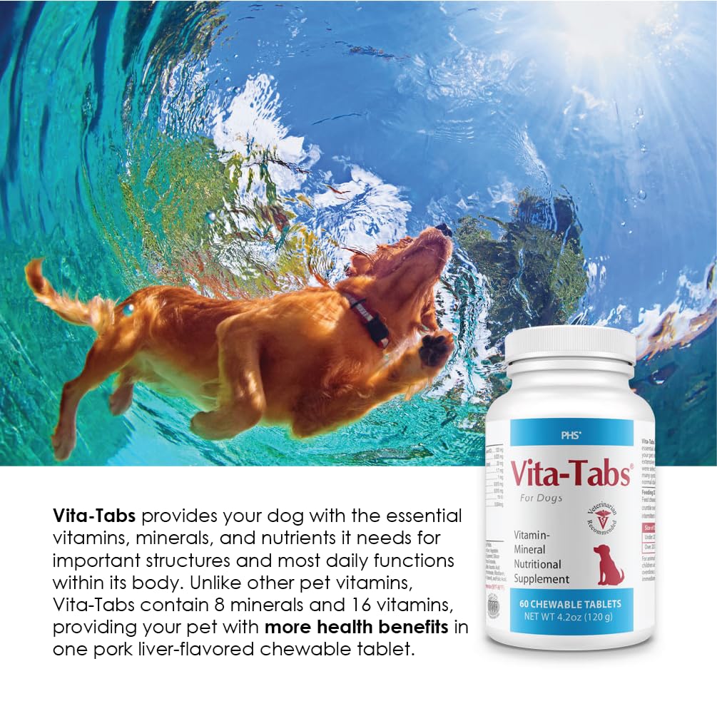 Vita-Tabs - Essential Vitamins, Minerals, Nutrients - Health Supplement for Dogs - Support Immune System, Bones - Liver Flavored - 60 Chewable Tablets