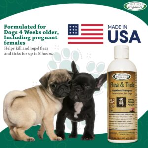 Mad About Organics Flea & Tick Protection Shampoo for Dogs – Formulated to Deter Bugs – Gentle for Puppies 4 Weeks & Older and Suitable for Pregnant Dogs – pH Balanced for Regular Use, 16 FL OZ