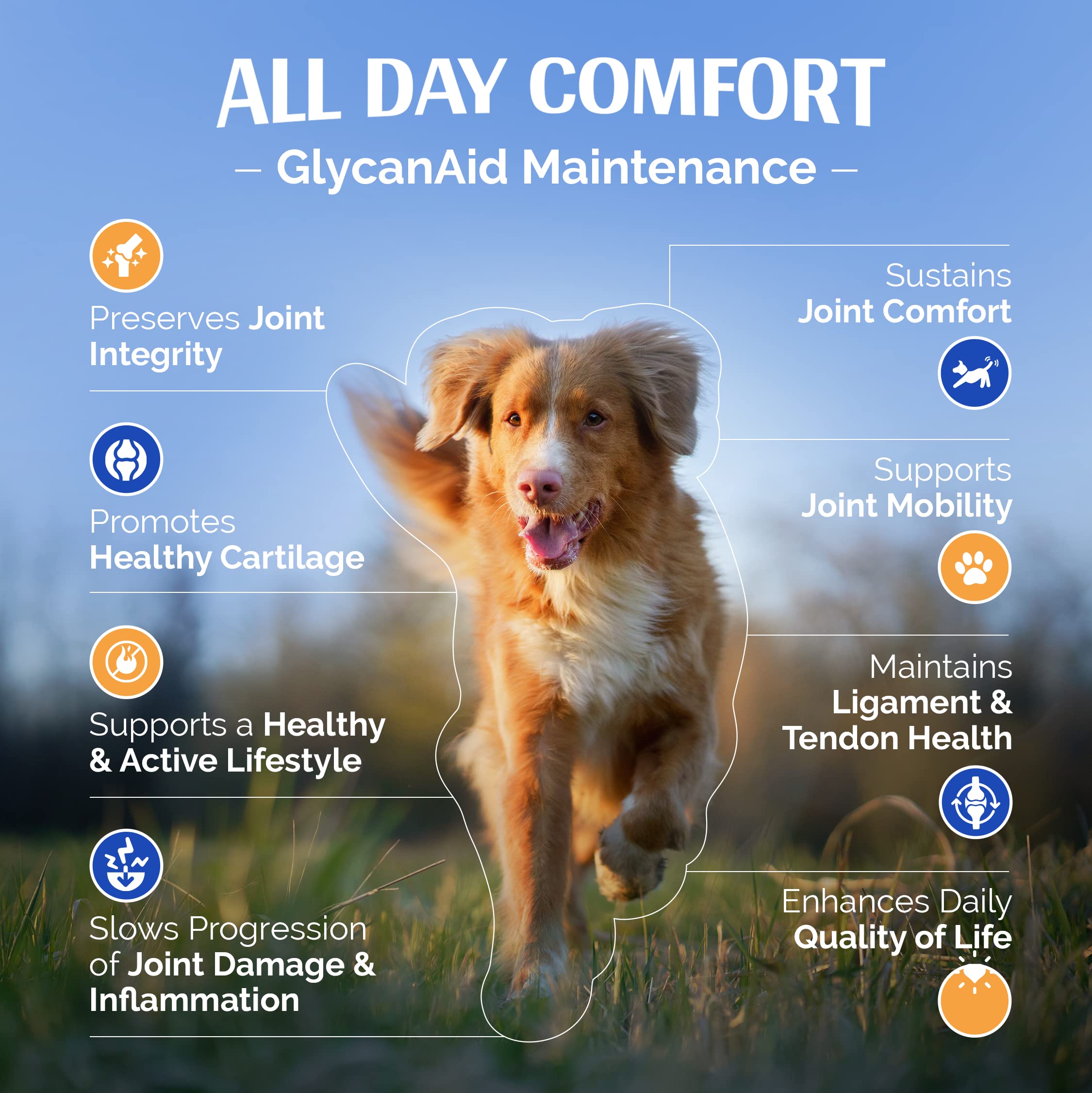 TopDog Health GlycanAid Maintenance Joint Nutrition for Dogs (150 Chewable Tablets), Made in USA-USA Ingredients: Glucosamine HCL, Chondroitin Sulfate, MSM & Vitamin C