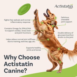 Actistatin Canine Large Dog Soft Chews, 120ct – Patented Extra-Strength Joint, Cartilage, Soft Tissue Supplement: Glucosamine, Chondroitin, Manganese, MSM, L-Carnitine – High Absorption, Fast Results