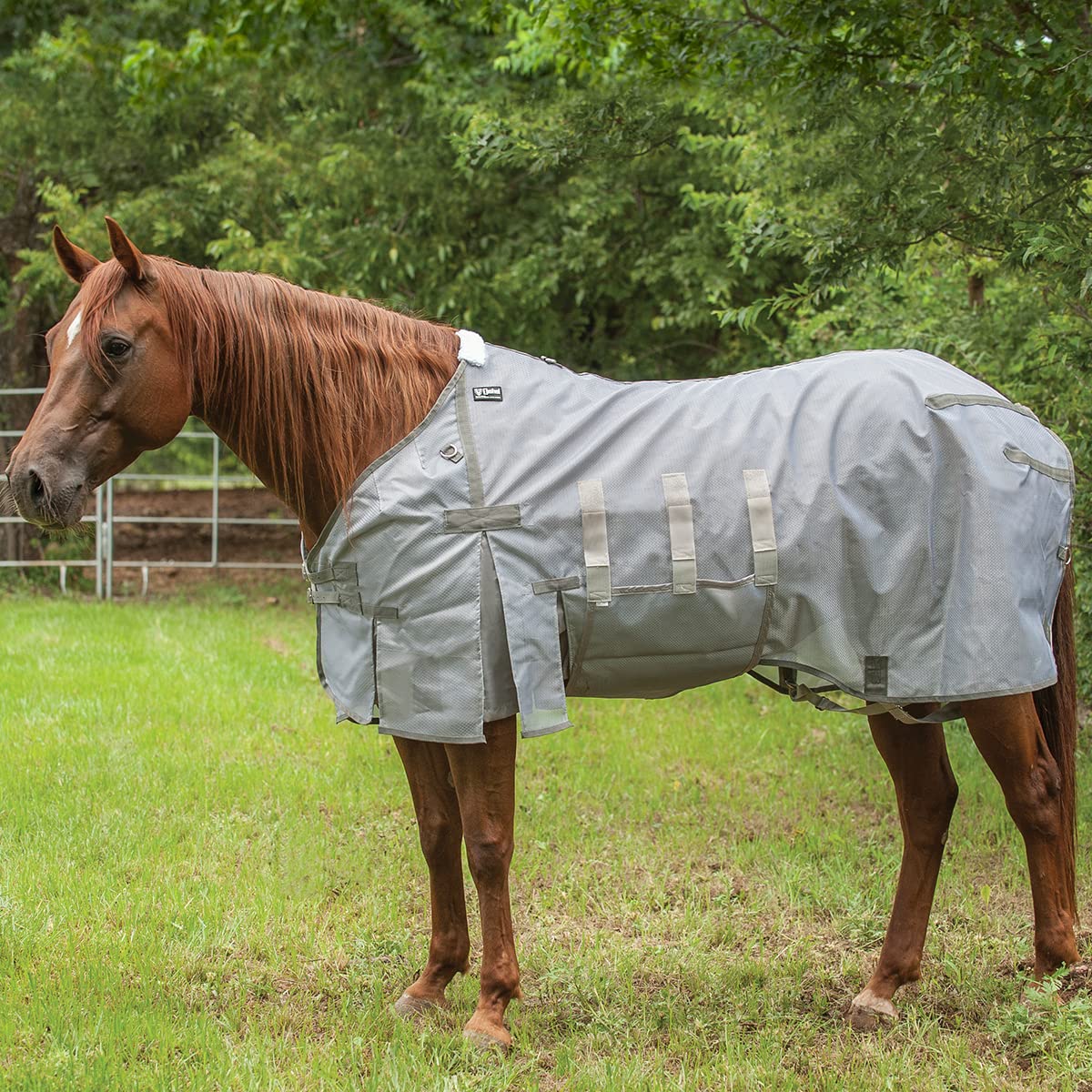 CASHEL Lightweight Fly Sheet, 74-76 (FSL-74/76)