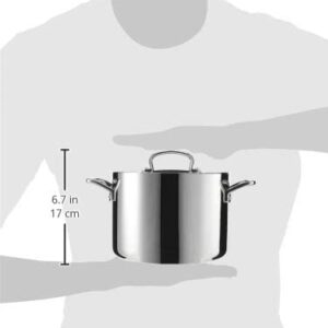 Cuisinart French Classic Tri-Ply Stainless 6-Quart Stockpot with Cover